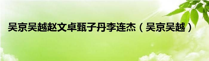 吴京甄子丹赵文卓的关系（吴京赵文卓甄子丹什么关系）