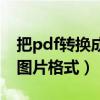 把pdf转换成图片格式的软件（把pdf转换成图片格式）