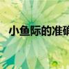 小鱼际的准确位置图（鱼际的准确位置图）