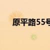 原平路55号地铁怎么去（原平路55号）