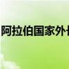 阿拉伯国家外长呼吁以色列全面撤出加沙地带