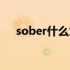 sober什么意思网名（sober什么意思）