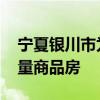 宁夏银川市为保障性住房增房源 批量收购存量商品房