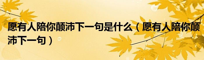 我愿意陪你疯陪你闹陪你笑歌词（我愿陪你颠沛流离下一句是什么）