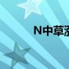 N中草涨近300% 换手率超91%