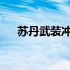 苏丹武装冲突双方在西部法希尔市激战