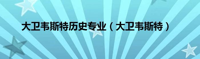 大卫韦斯特历史学士（大卫韦斯特生涯效力过哪些球队）