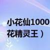 小花仙1000个花精灵王进化（小花仙1000个花精灵王）