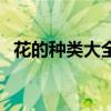 花的种类大全及名字（花品种图片及名称）