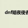 dnf暗夜使者练哪个（dnf暗夜使者加点）