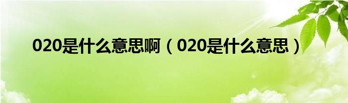 020是什么意思通俗易懂（020是什么意思的缩写）