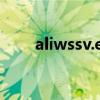 aliwssv.exe是什么进程（aliwssv）