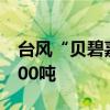 台风“贝碧嘉”逐渐逼近 上海已抢收蔬菜8000吨