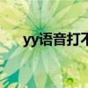 yy语音打不开怎么办（yy语音打不开）