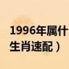 1996年属什么生肖配对最好（1996年属什么生肖速配）