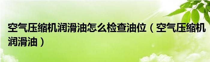 空气压缩机工作原理（空气压缩机怎么看油量）