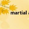 martial art翻译成中文（martial）