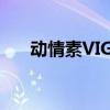 动情素VIGORX多少钱一盒（动情素）