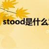 stood是什么意思翻译（stood是什么意思）