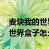 麦块我的世界盒子怎么使用mod（麦块我的世界盒子怎么用mod）