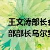 王文涛部长会见意大利企业与“意大利制造”部部长乌尔索