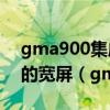 gma900集成显卡 是否可以支持20寸16:10的宽屏（gma900）