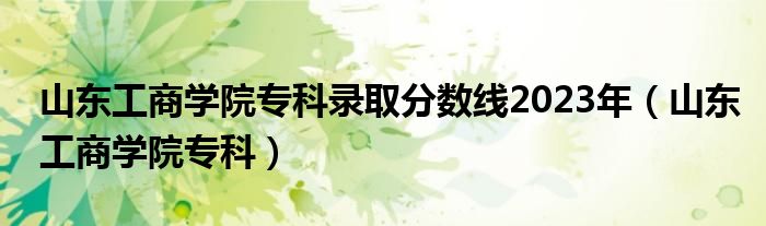 山东工商学院研究生院（山东工商学院专科2024投档线）