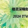 格灵深瞳赵勇：论大模型时代的AI产品进化 | 2024 ITValue Summit数字价值年会