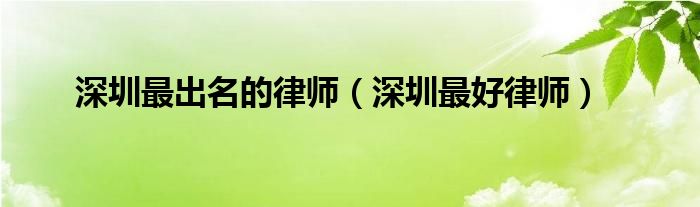 深圳哪个律师最牛（深圳市最出名的律师事务所）