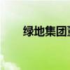 绿地集团董事长张玉良被限制高消费