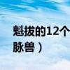 魁拔的12个脉兽的名字（魁拔一共有多少个脉兽）