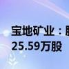 宝地矿业：股东拟减持公司股份合计不超过125.59万股