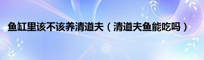 鱼缸里该不该养清道夫（鱼缸里有必要养清道夫鱼吗）