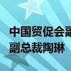 中国贸促会副会长张少刚会见美国特斯拉公司副总裁陶琳