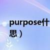 purpose什么意思怎么读（purpose什么意思）