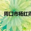 周口市杨红霞一案（周口杨红霞最新情况）