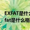 EXFAT是什么格式行车记录仪可以用吗?（exfat是什么格式）