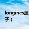 longines属于什么档次（longines是什么牌子）