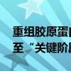 重组胶原蛋白赛道群雄逐鹿 中国企业集体行至“关键阶段”