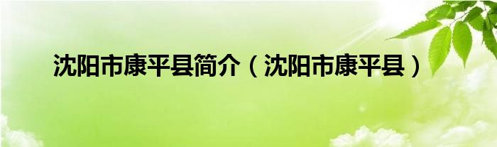 康平县地区简介（沈阳市康平县简介）