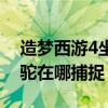 造梦西游4坐骑在哪里捕捉（造梦西游4小羊驼在哪捕捉）