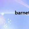 barnett英文名寓意（barnet）