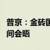 普京：金砖国家能源部长将在俄罗斯能源周期间会晤