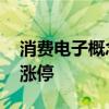 消费电子概念股震荡反弹 捷荣技术直线拉升涨停