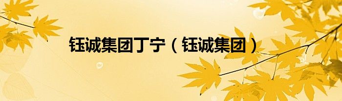 钰诚国际控股集团有限公司（钰诚集团最新消息）