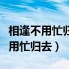 相逢不用忙归去明日黄花蝶也愁解释（相逢不用忙归去）