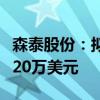 森泰股份：拟设立美国子公司注册资本不超过20万美元