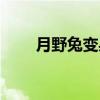 月野兔变身后叫什么（月野兔变身）