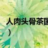 人肉头骨茶国语在线观看完整版（人肉头骨茶）