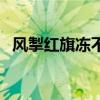 风掣红旗冻不翻前一句（风掣红旗冻不翻）